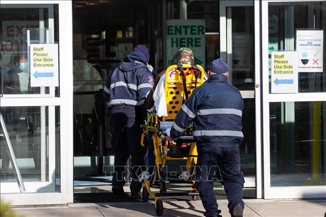 Mỹ vẫn là nước bị ảnh hưởng nghiêm trọng nhất bởi dịch Covid-19